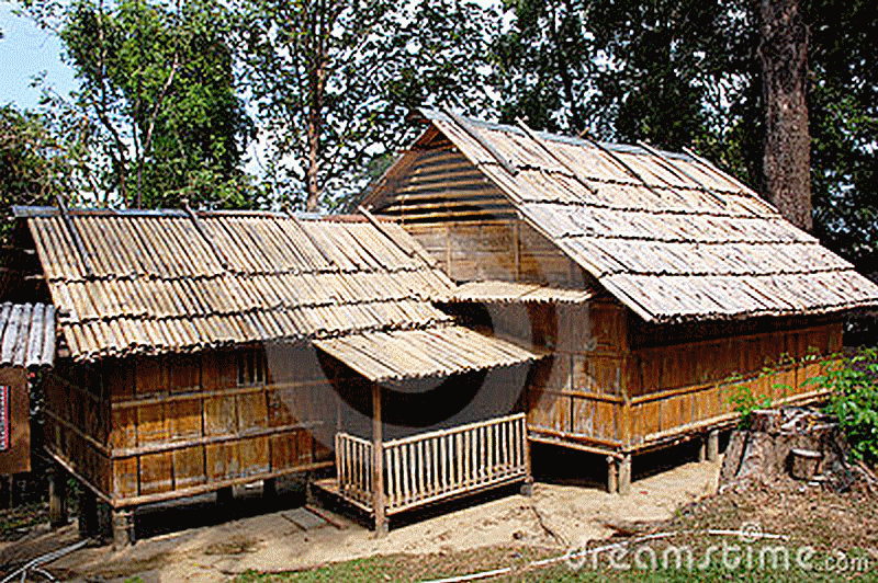 africa_afrique_forêt_forest_deforestation_sustainable__wood_bois_culture_agriculture_asia_asie_china_chine_india_inde_vietnam_laos_bali_development_architecture_house_moso_bambou_bamboo_bambu_bambusa_développement_durable_cop_21